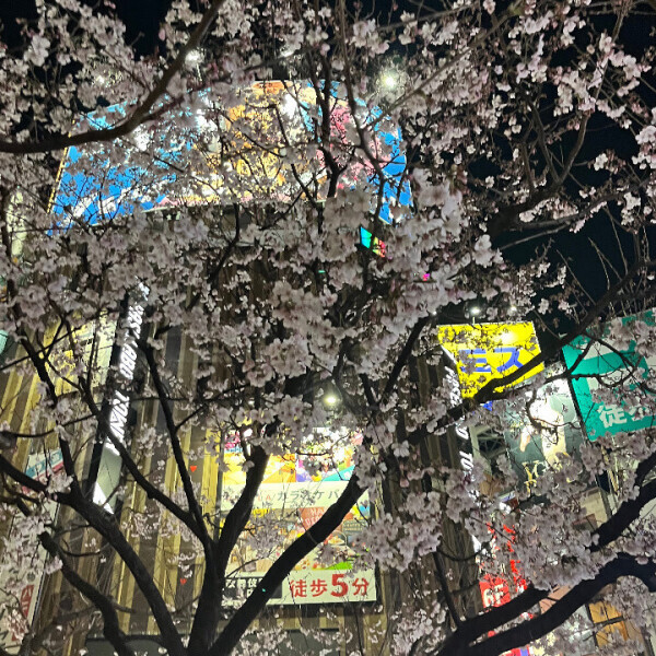 🌸