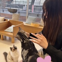 しん
