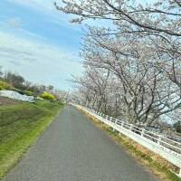 ばいす