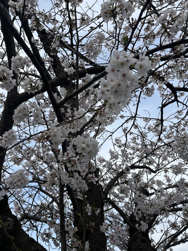 初出勤ありがとうございました♡