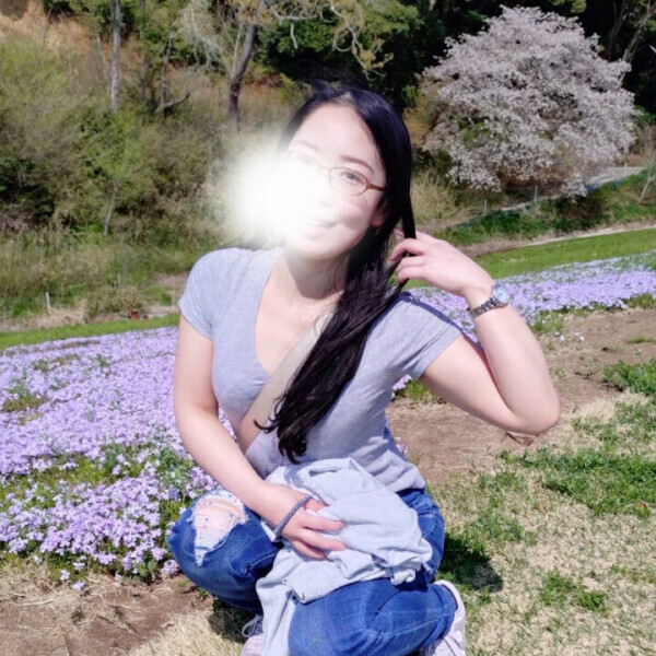 チューリップ畑🌷.*