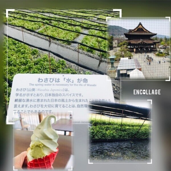 おはようございます