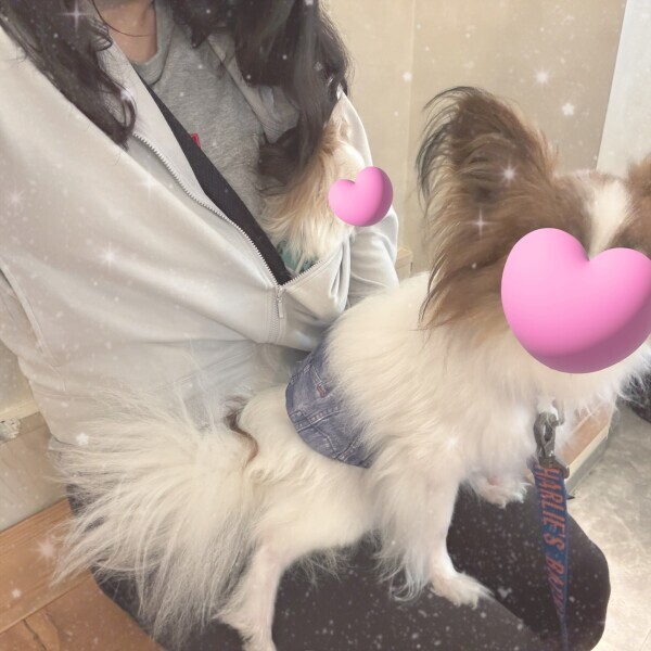 さえか(84)