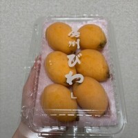 きなこ