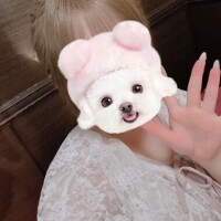 よつば