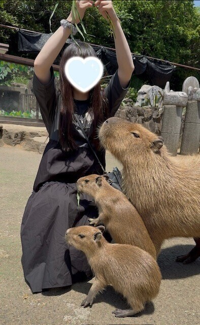 ありがとう🩵