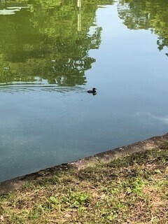 おはようございます☀️💓‪