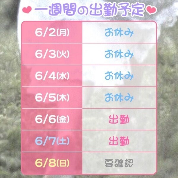 予定！