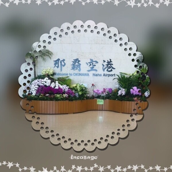 6月2日(月)