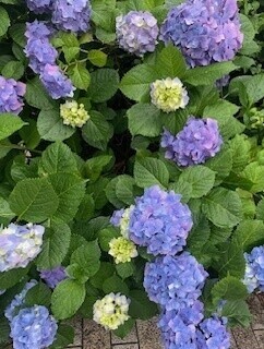 出勤♡