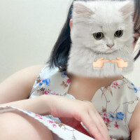 しらす