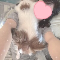 さえか