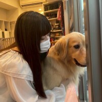 もこ