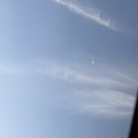 かりな