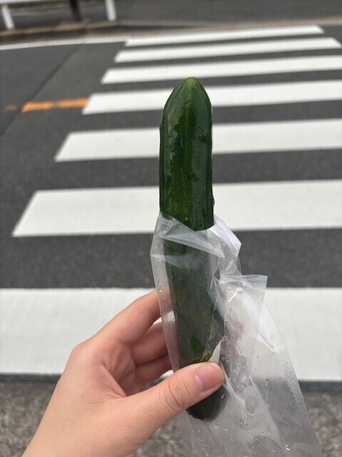 出勤しました🫶