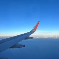 ひなえ