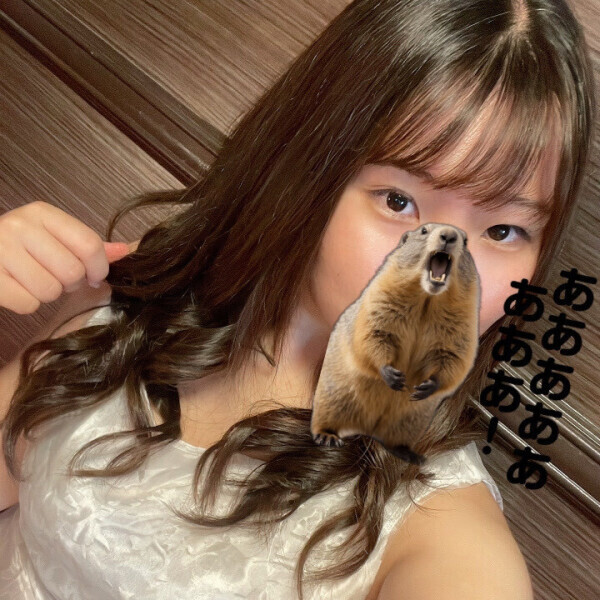 出勤！