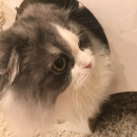 たまき