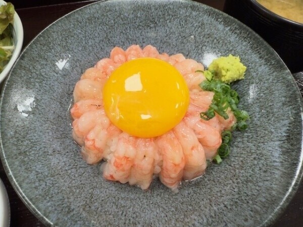 幸せ🦐