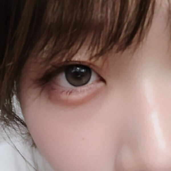 目👀🐰