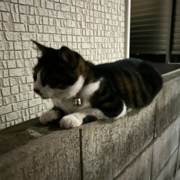 お休みです🙇‍♀️