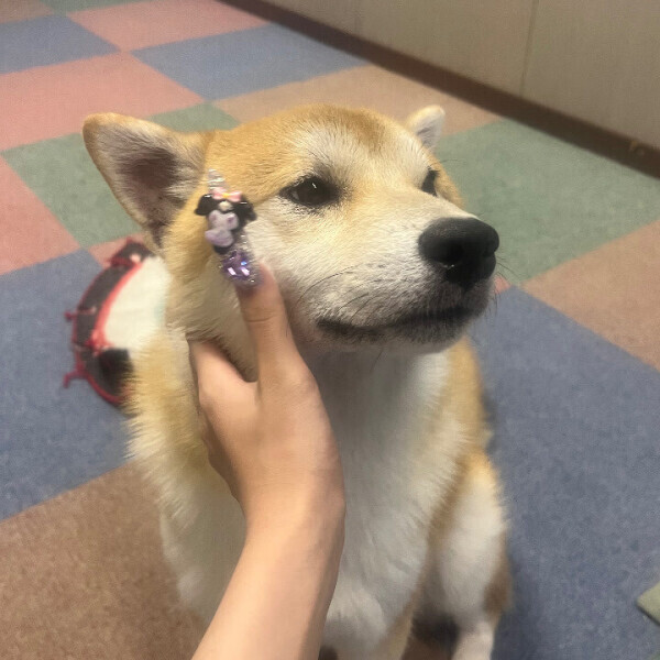 20日の予定♡