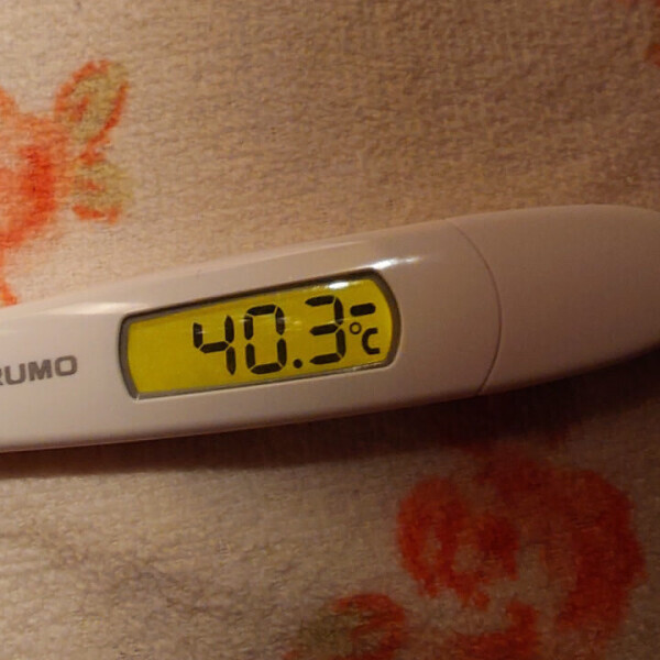 高熱🤒