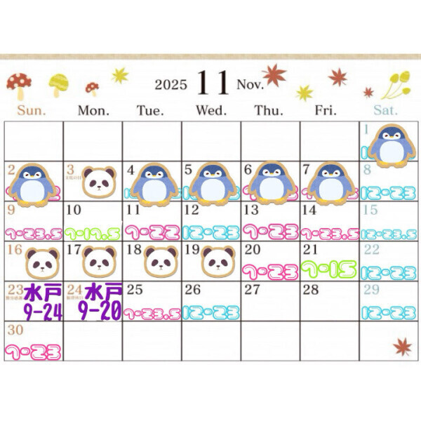 11月予定୨୧˙˳⋆﻿