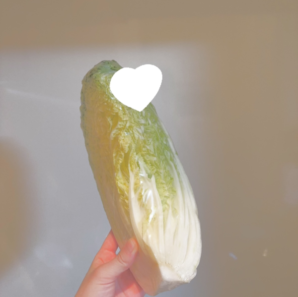 白菜(๑>◡<๑)♡