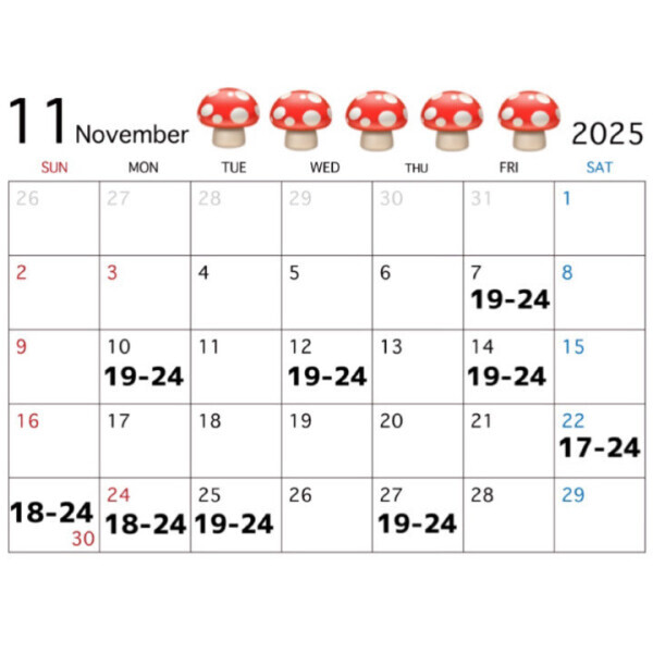 11月🍄予定