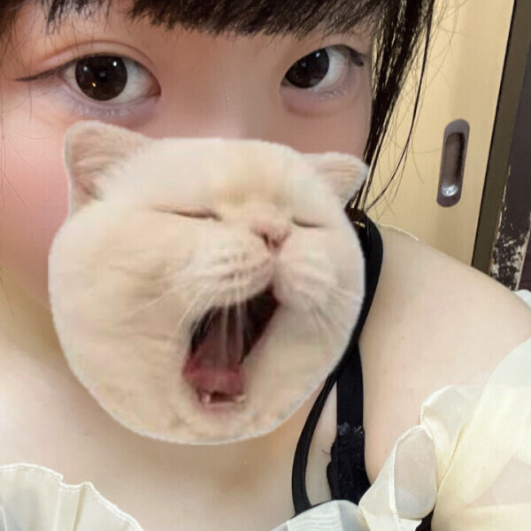 急遽バイオレンス戻りました❕