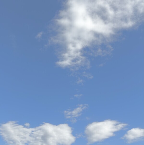 本日のご飯🍚✨