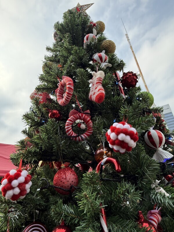 🌸本指名様🌸