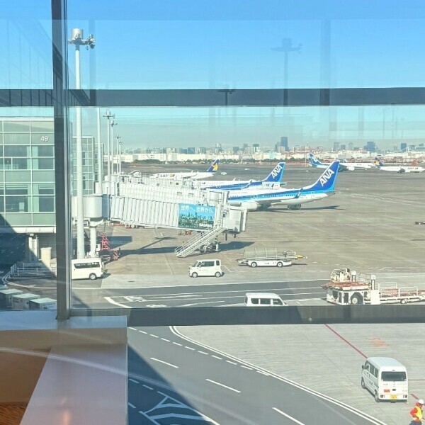 【ただいまぅ】