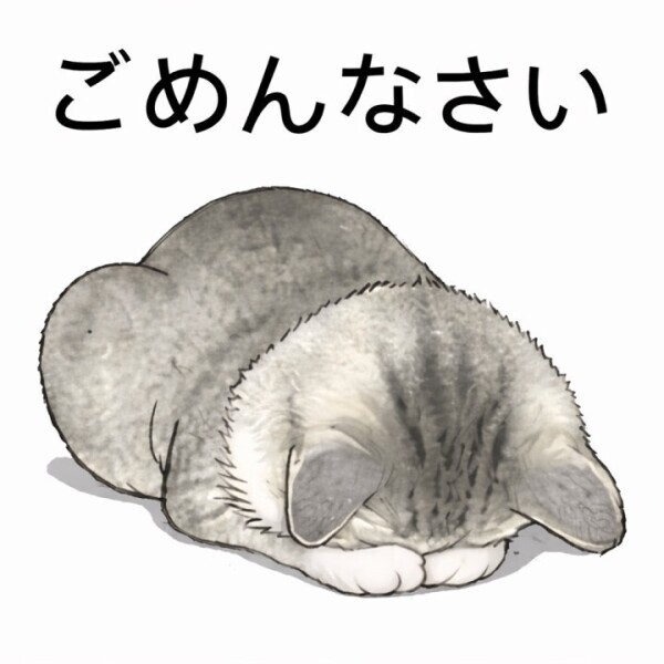 本当にごめんなさい😿