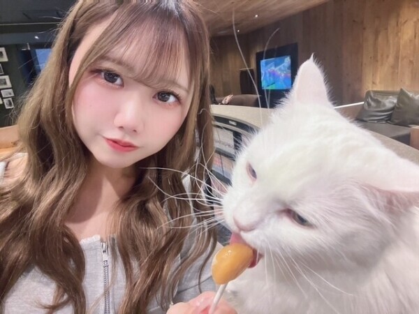 猫は癒しすぎる、、、、、、、