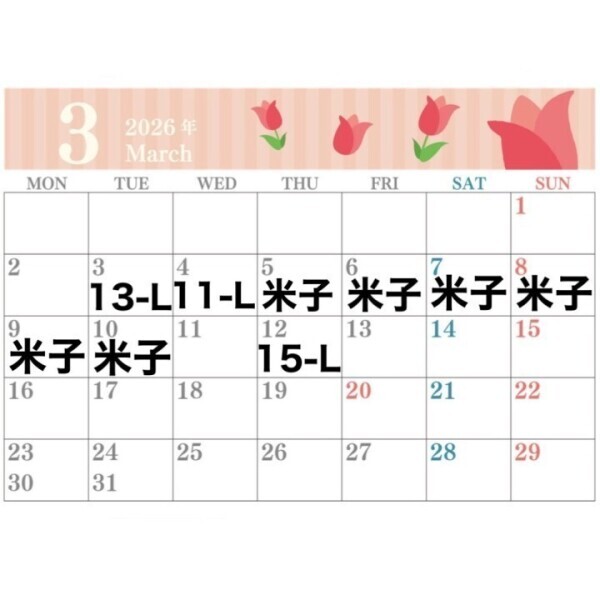 ⭐️3月の予定⭐️