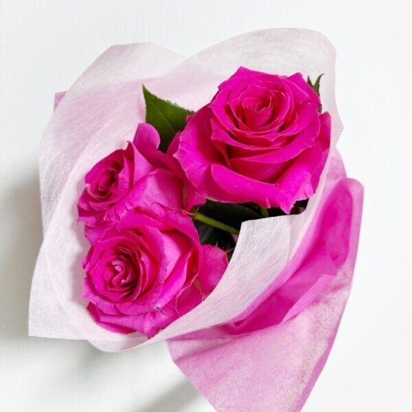 おひさしぶりです