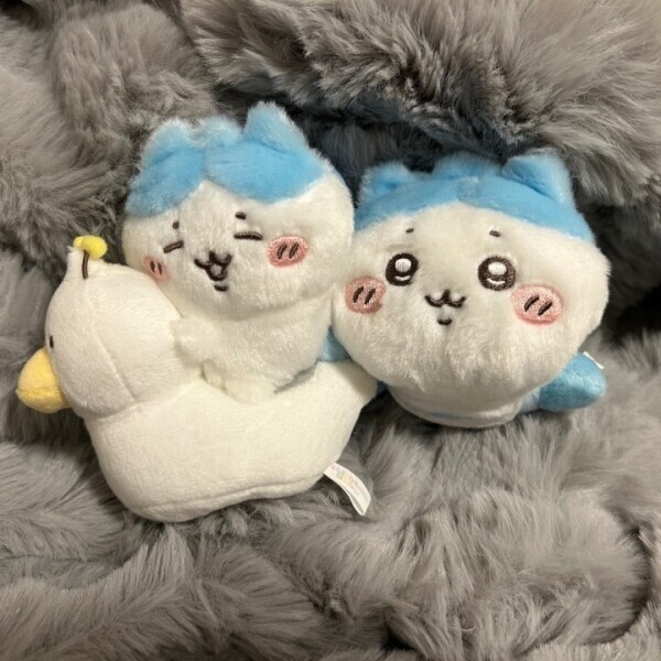 今日は元気かも…？☺️