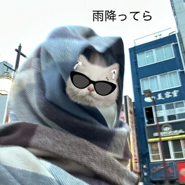 ひさびさDXですぞ