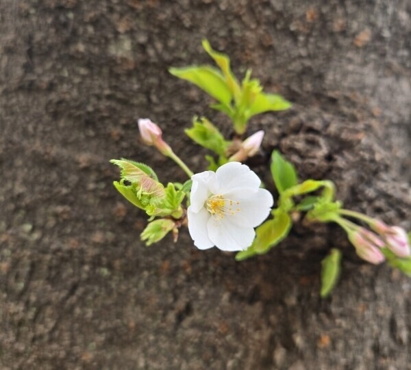 【空き枠情報】