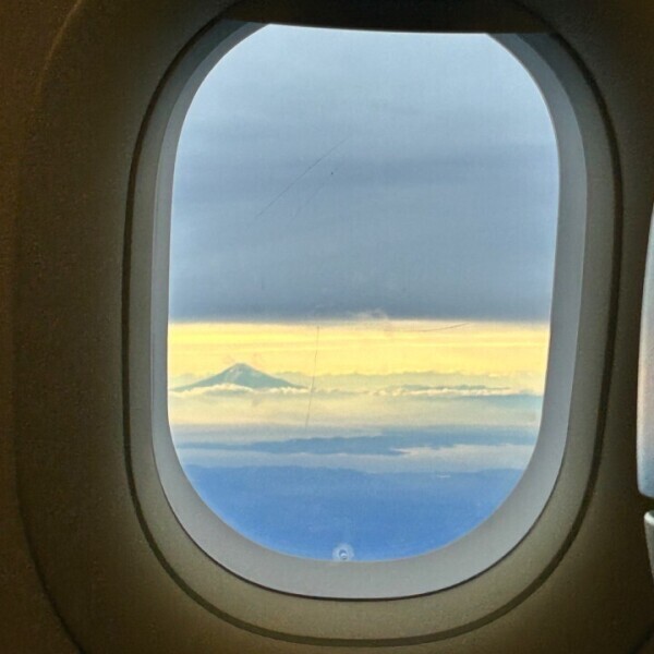 レベルアップ⤴️