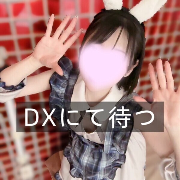 かぐやDX