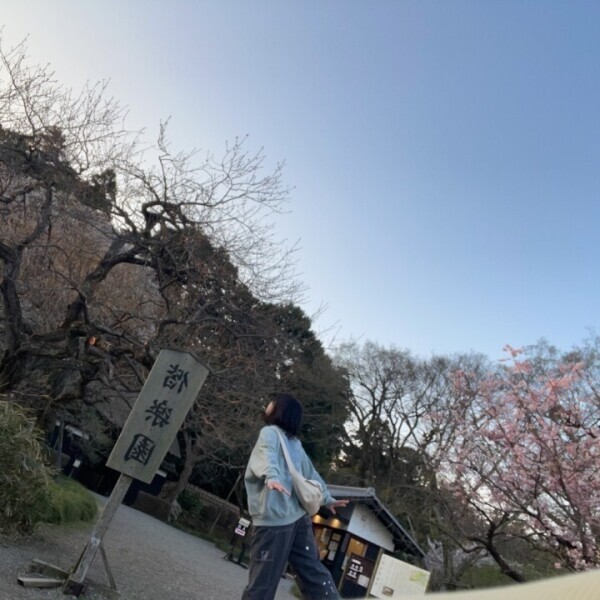 水戸。お花見編①