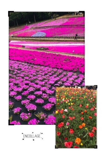 4月9日(木)
