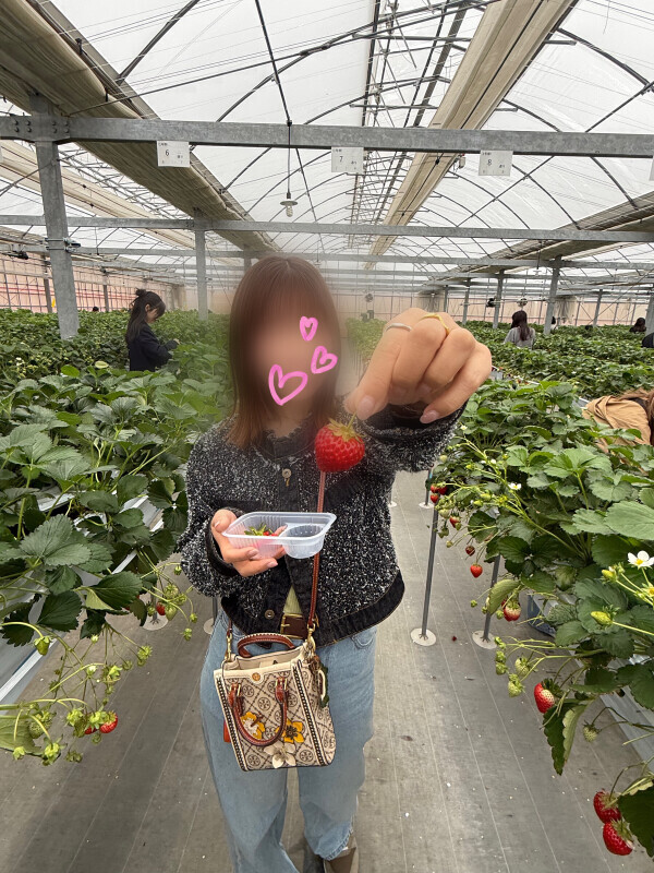 また行きたい🍓