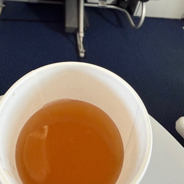 おやすみします！