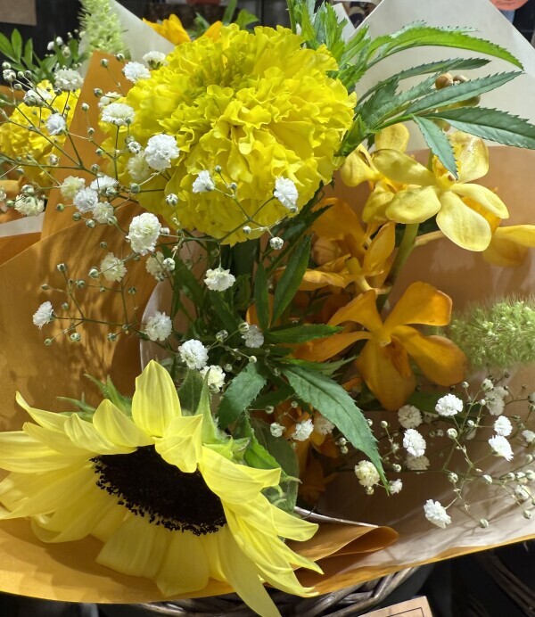 21日10:00から🌸