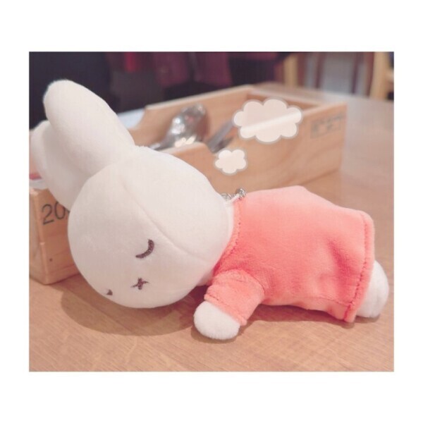 🌼 こつこつと( ᐢ_ᐢ )🌟