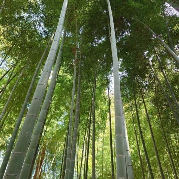 ありがとうございました(＞ω＜)